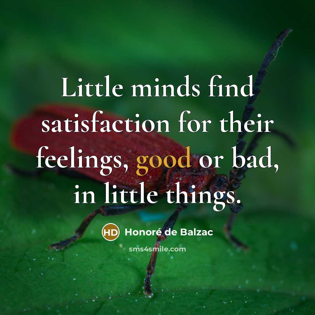 “Little minds find satisfaction for their feelings, good or bad,…” quote by Honore de Balzac