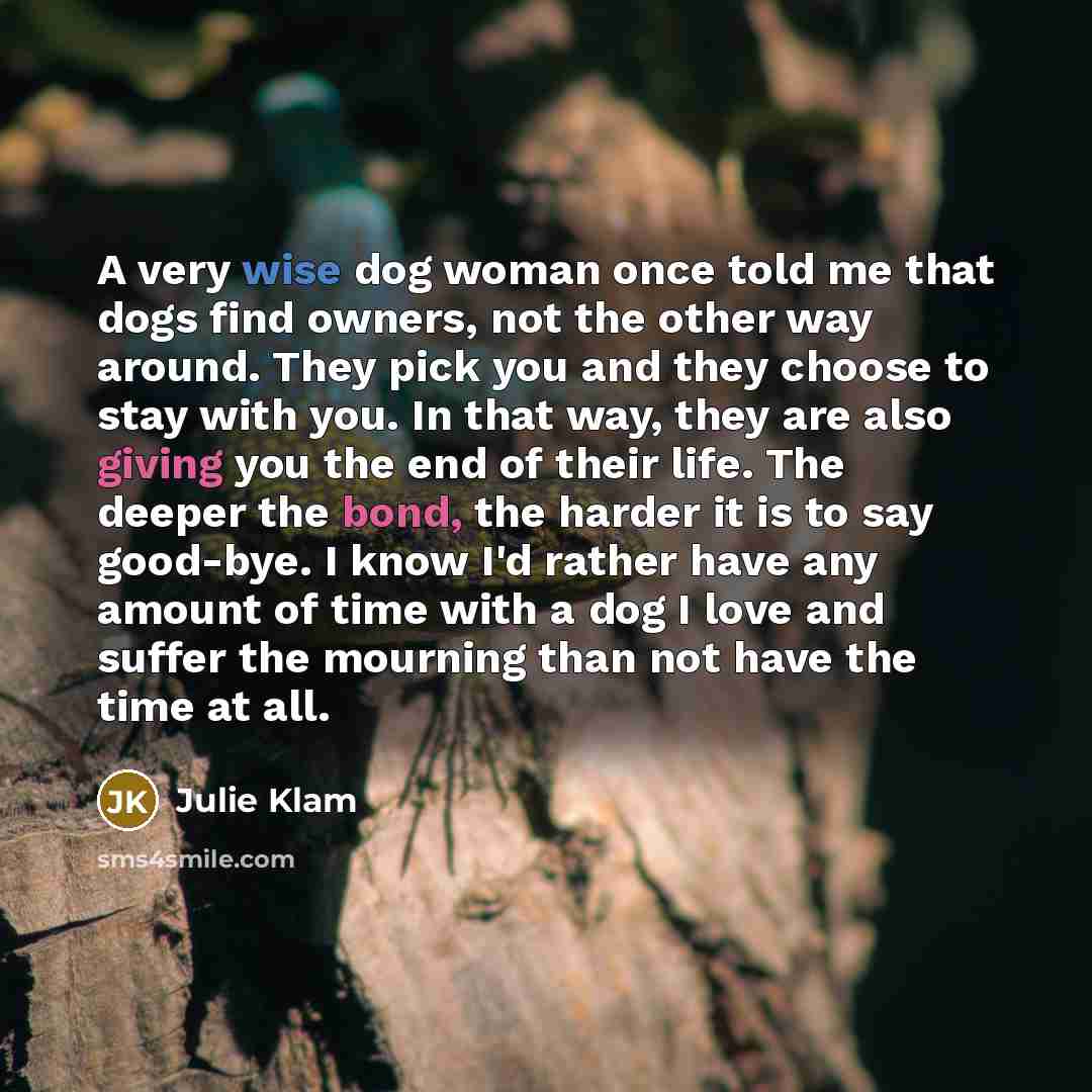 “A very wise dog woman once told me that dogs find owners, not the other way around. They pick you and they choose to stay with you. In that way, they are also giving you the end of their life. The deeper the bond, the harder it is to say good-bye. I know I'd rather have any amount of time with a…” quote by Julie Klam