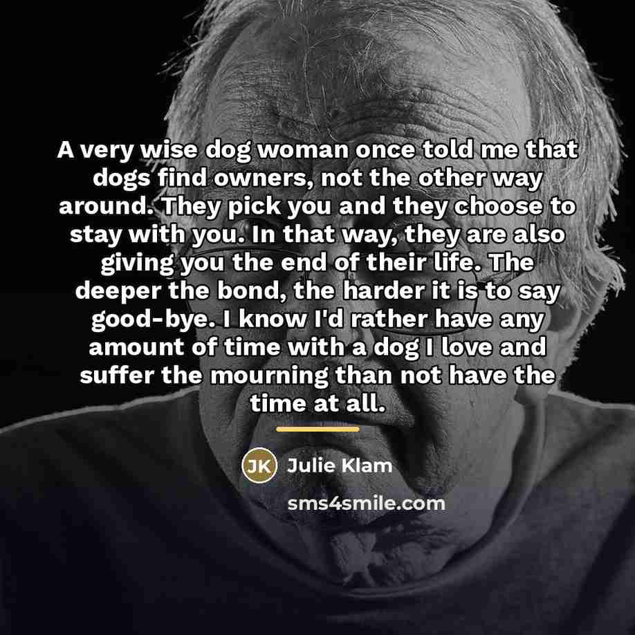 “A very wise dog woman once told me that dogs…” quote by Julie Klam