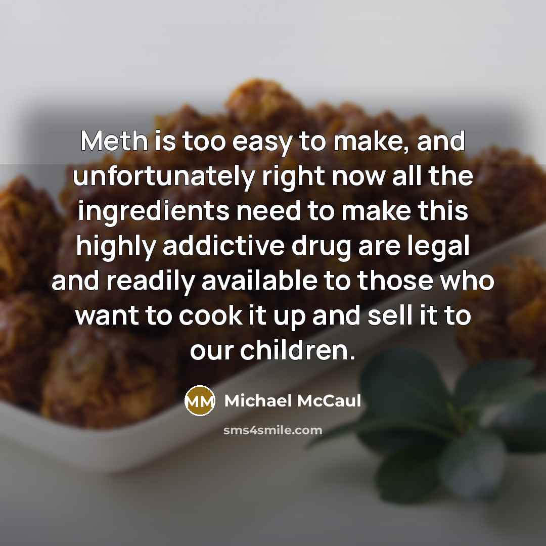 “Meth is too easy to make, and unfortunately right now…” quote by Michael McCaul