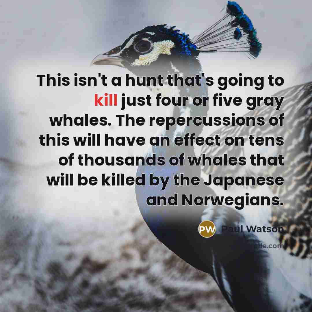 “This isn't a hunt that's going to kill just four…” quote by Paul Watson