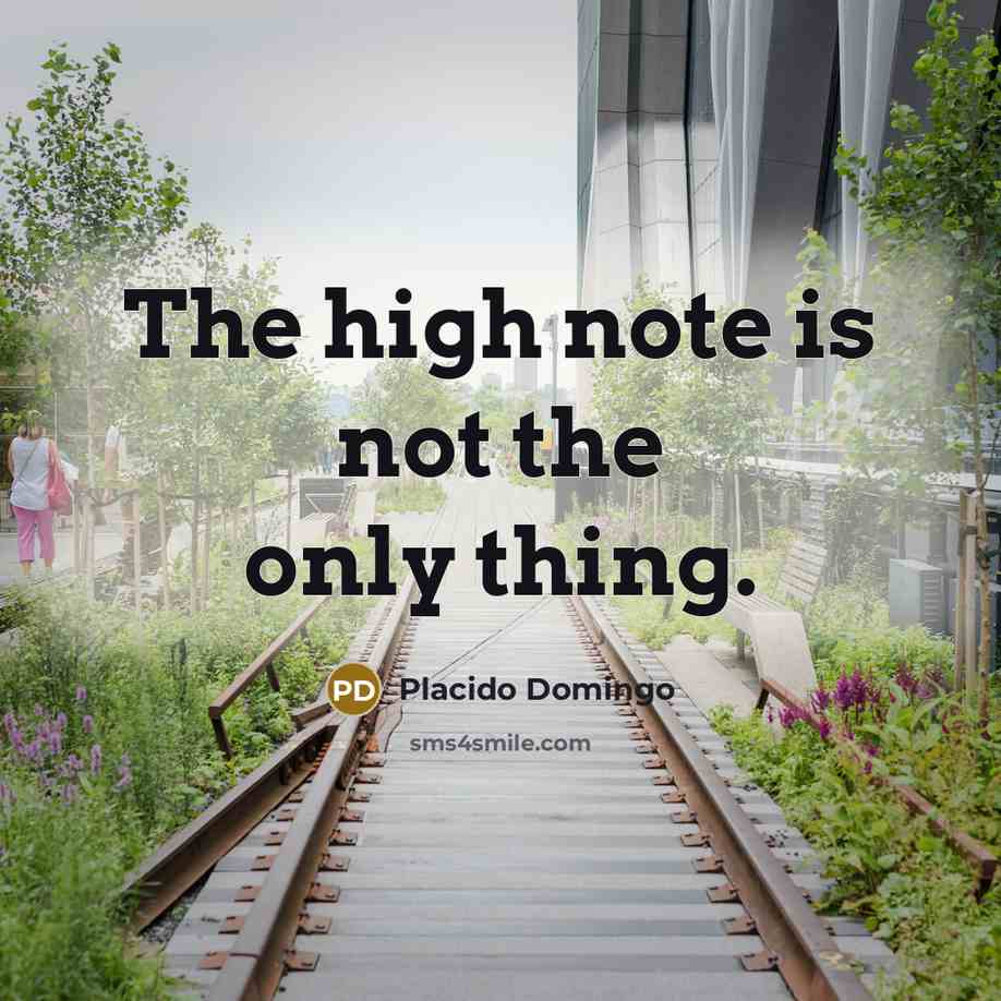 “The high note is not the only thing.” quote by Placido Domingo