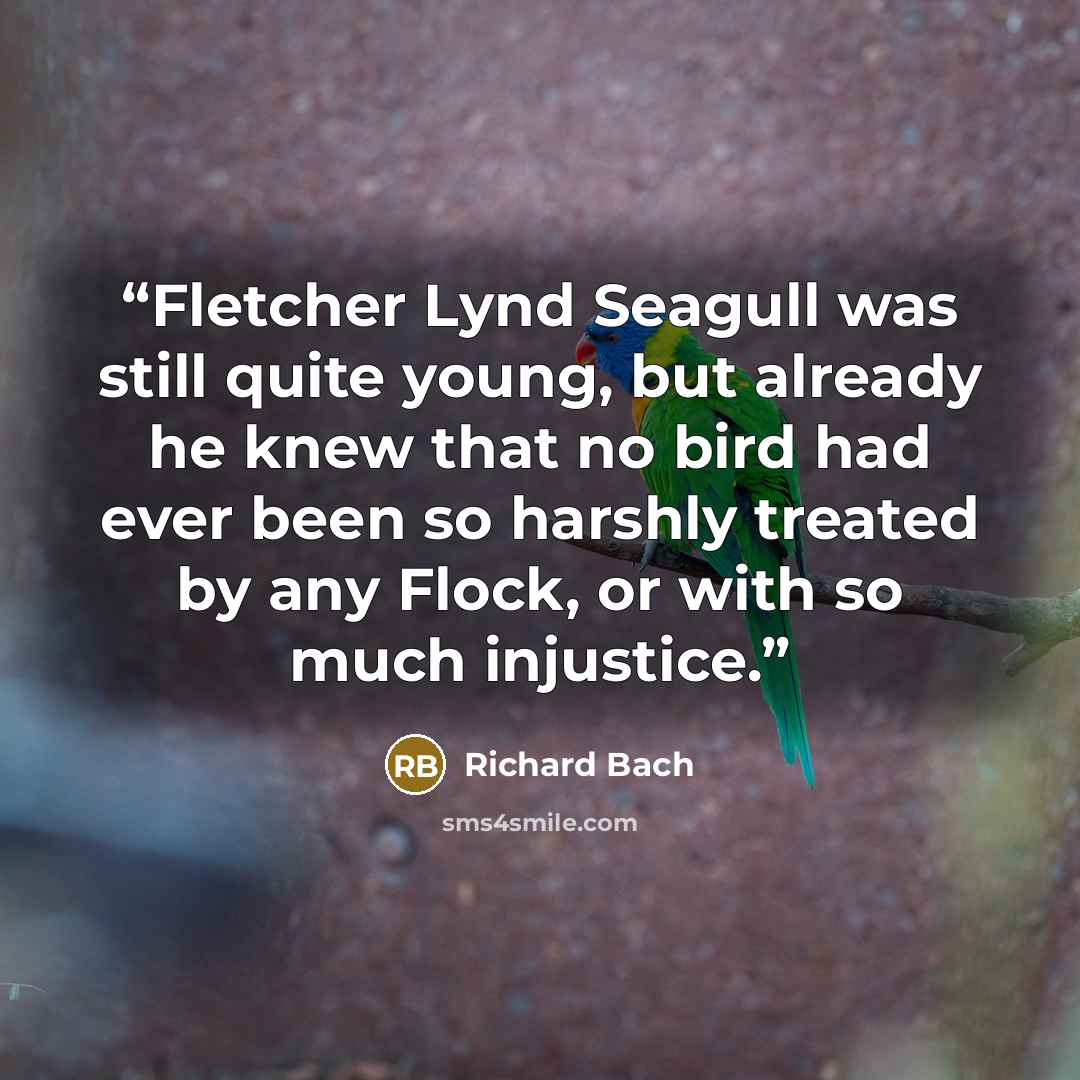 “Fletcher Lynd Seagull was still quite young, but already he knew that no bird had ever been so harshly treated by any Flock, or with so much injustice.” quote by Richard Bach