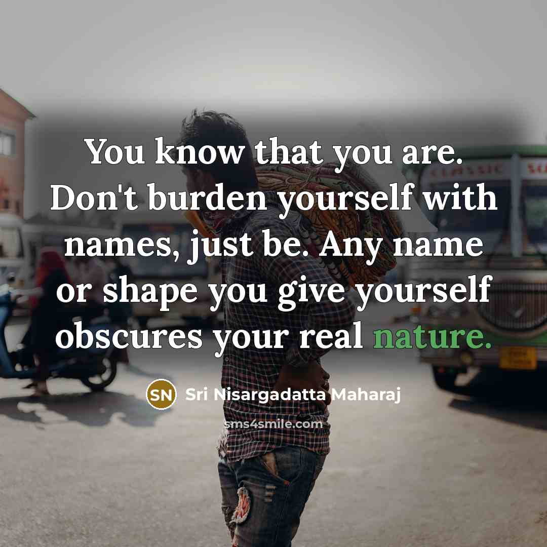 “You know that you are. Don't burden yourself with names,…” quote by Sri Nisargadatta Maharaj
