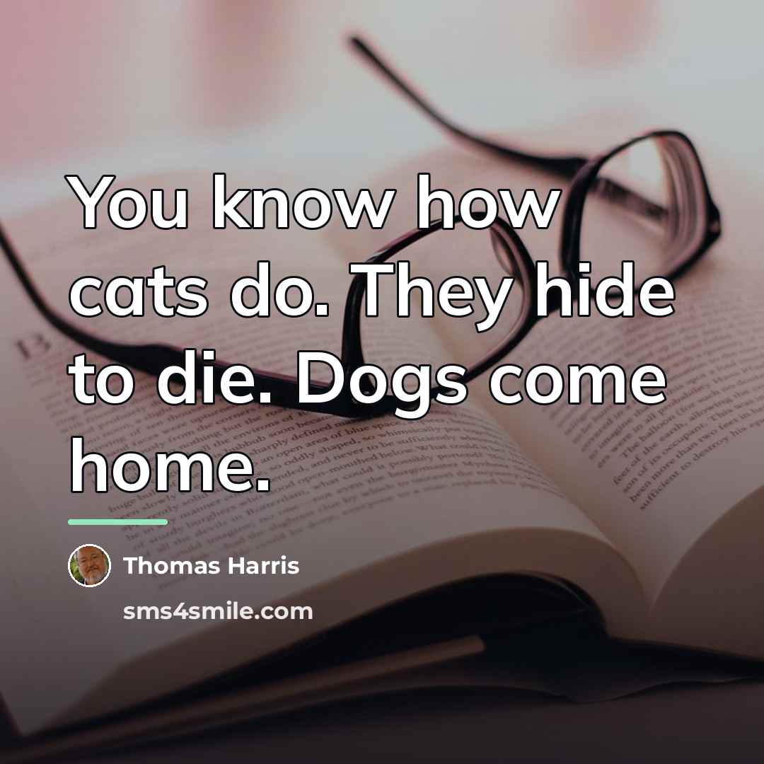 “You know how cats do. They hide to die. Dogs…” quote by Thomas Harris