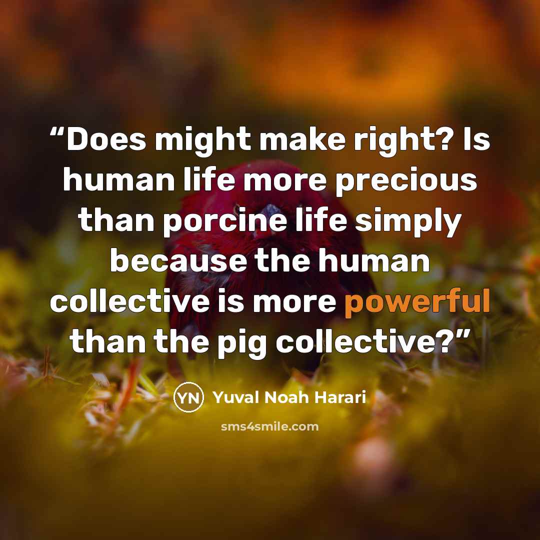 “Does might make right? Is human life more precious than porcine life simply because the human collective is more powerful than the pig collective?” quote by Yuval Noah Harari
