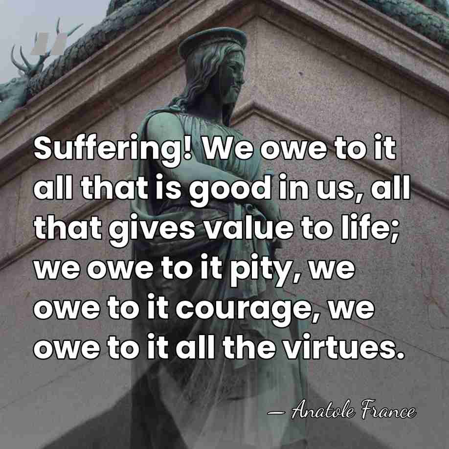 Suffering! We owe to it all that is good in us, all&hellip; - Anatole France