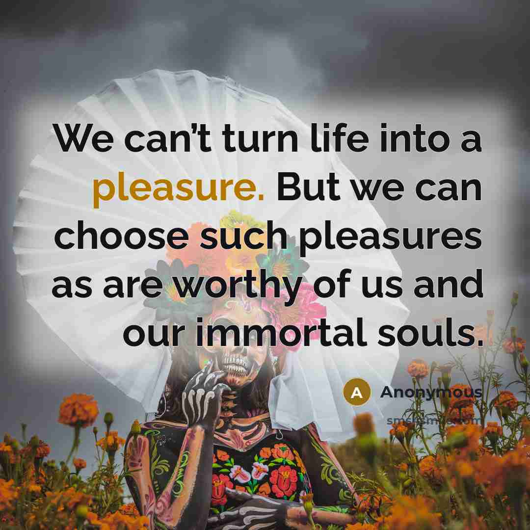“We can’t turn life into a pleasure. But we can…” quote by Anonymous