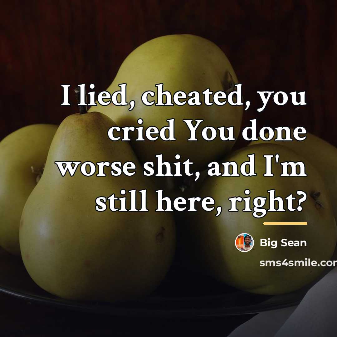 “I lied, cheated, you cried You done worse shit, and…” quote by Big Sean