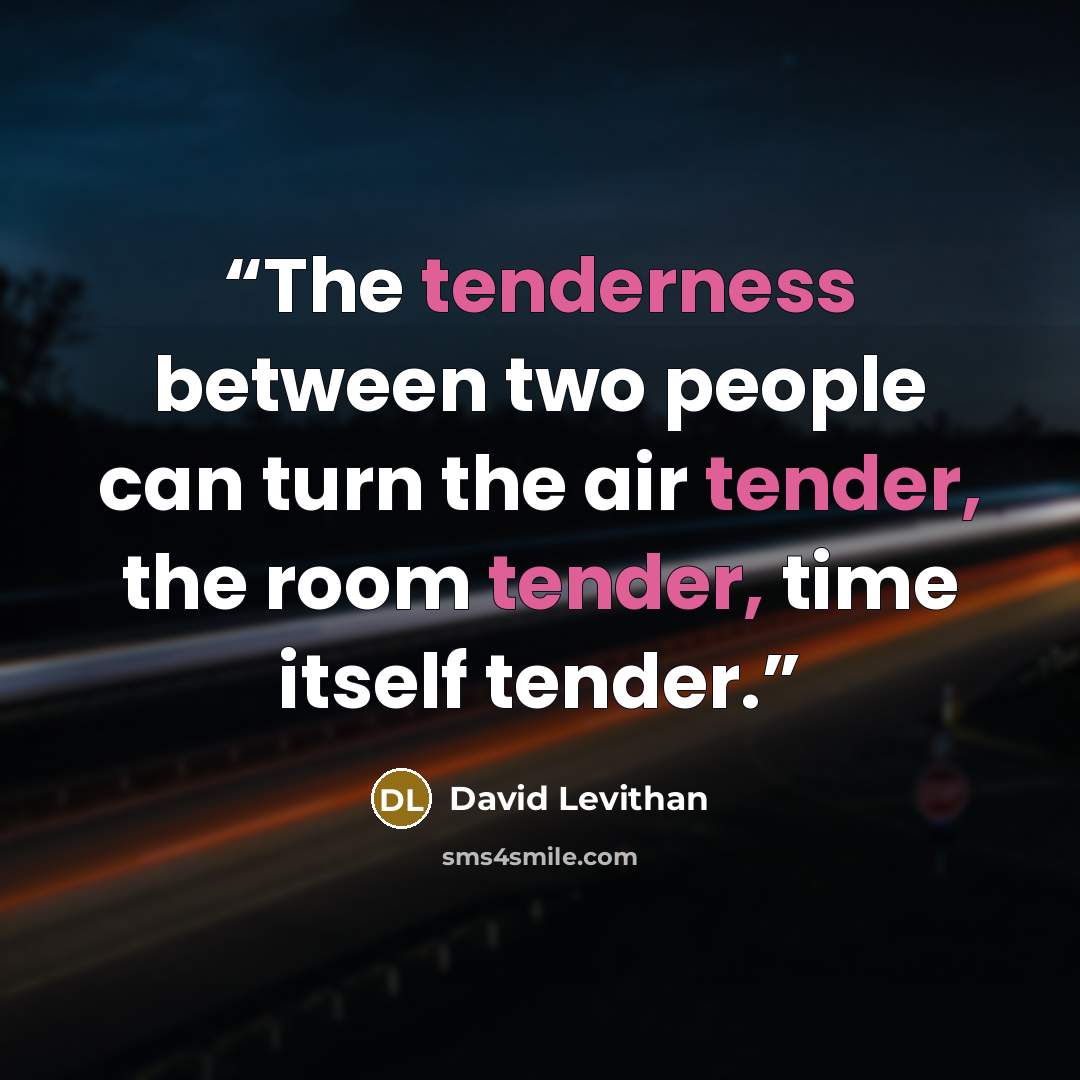 “The tenderness between two people can turn the air tender, the room tender, time itself tender.” quote by David Levithan