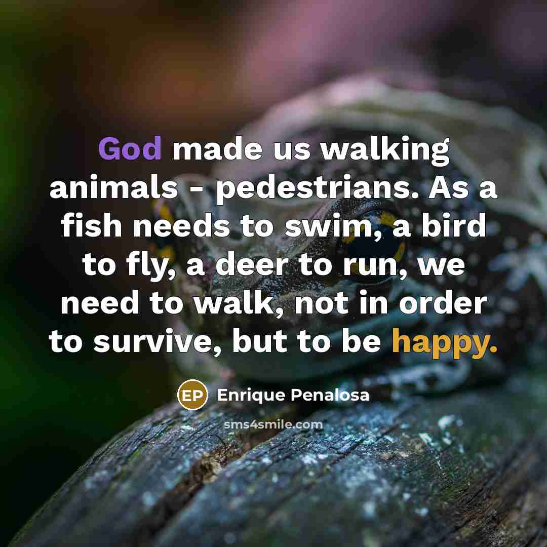 “God made us walking animals - pedestrians. As a fish…” quote by Enrique Penalosa
