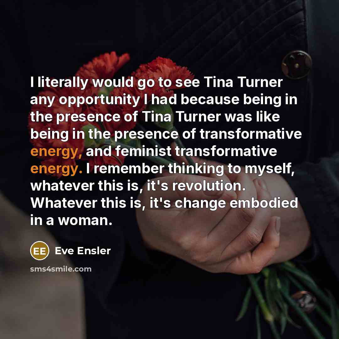 “I literally would go to see Tina Turner any opportunity…” quote by Eve Ensler