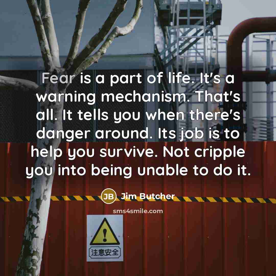 “Fear is a part of life. It's a warning mechanism.…” quote by Jim Butcher