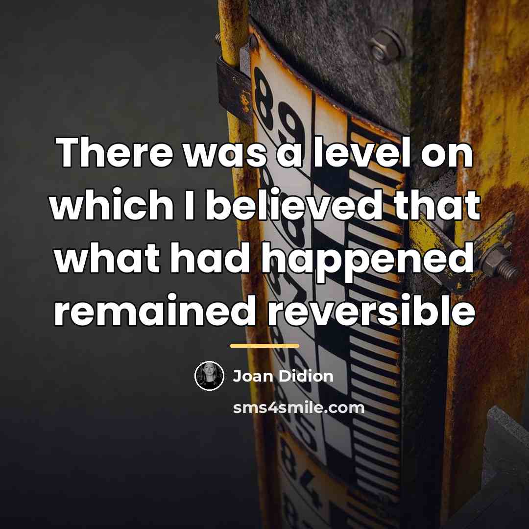 “There was a level on which I believed that what…” quote by Joan Didion