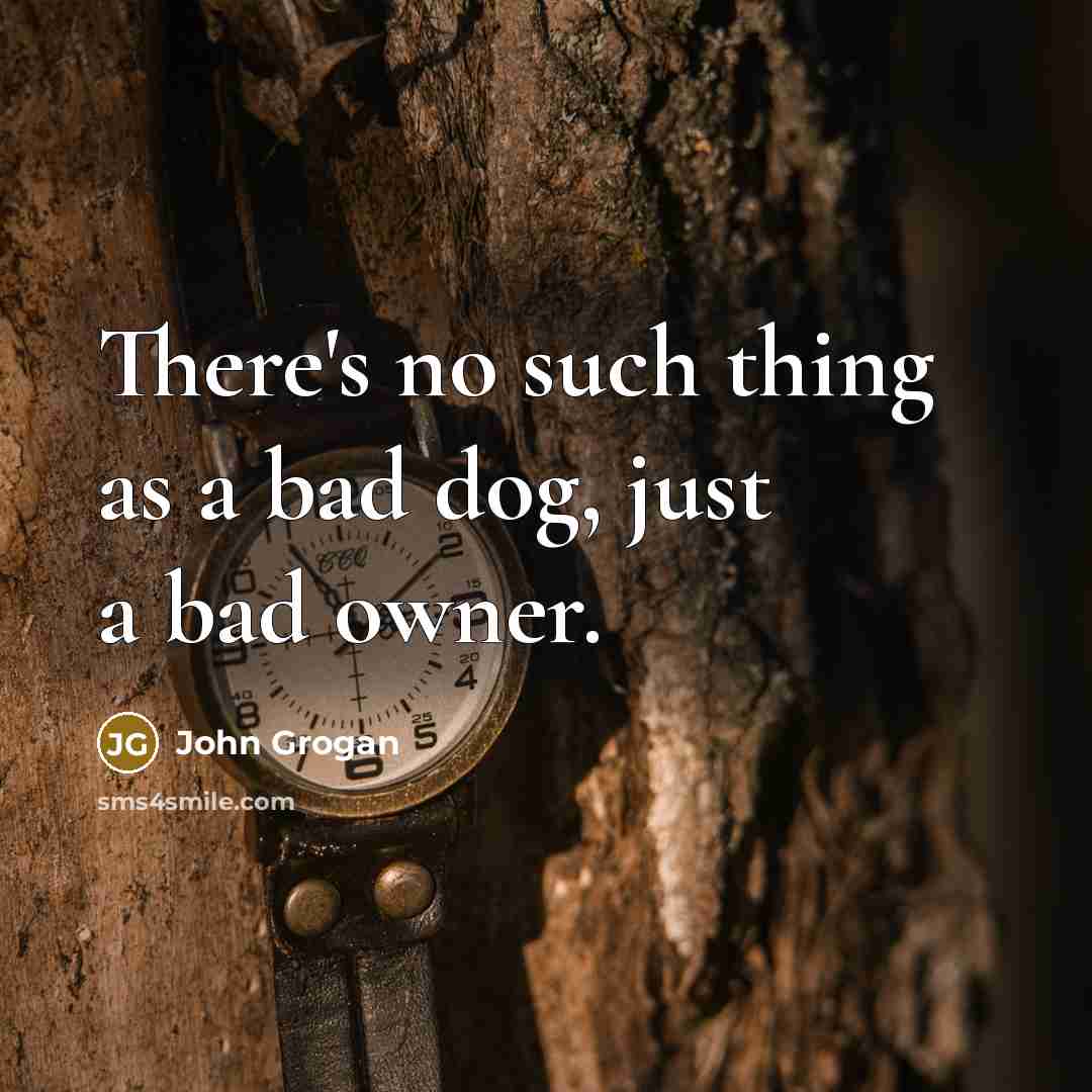 “There's no such thing as a bad dog, just a…” quote by John Grogan