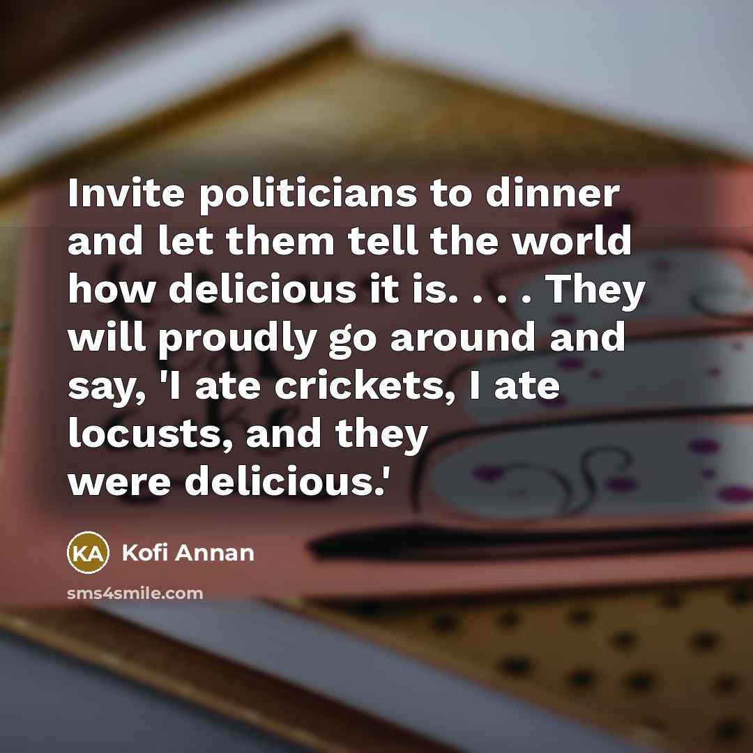 “Invite politicians to dinner and let them tell the world…” quote by Kofi Annan