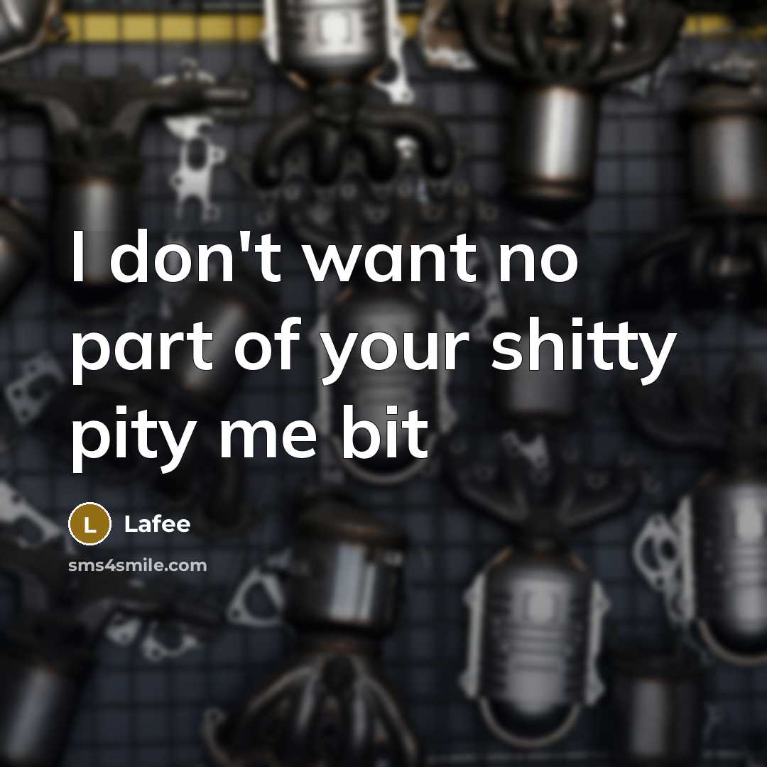 “I don't want no part of your shitty pity me…” quote by Lafee