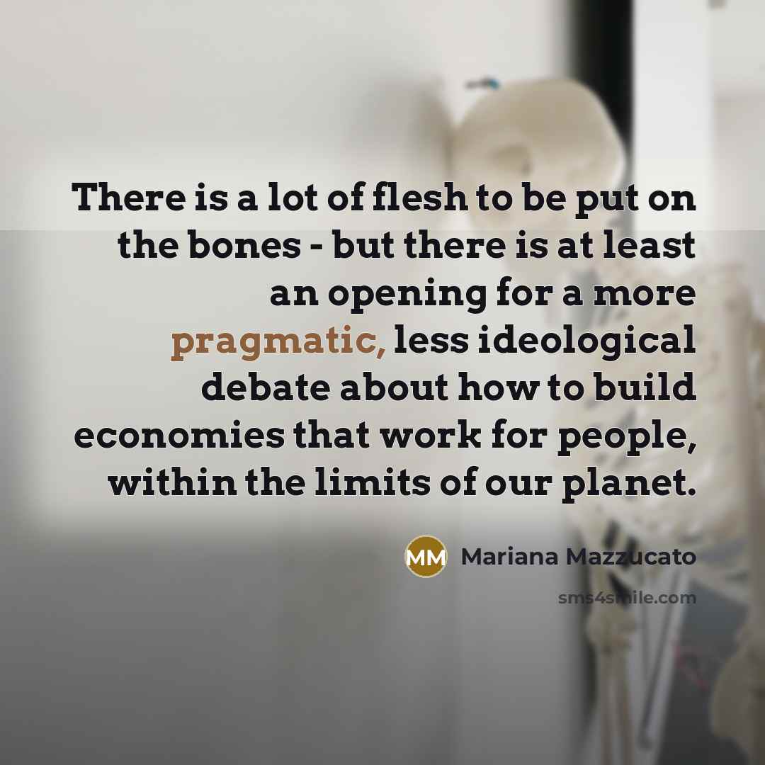 “There is a lot of flesh to be put on…” quote by Mariana Mazzucato