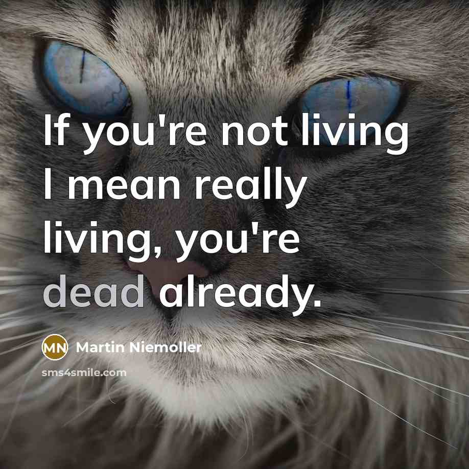 “If you're not living I mean really living, you're dead…” quote by Martin Niemoller