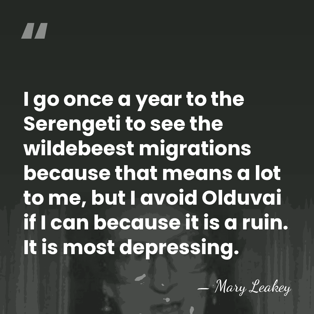 I go once a year to the Serengeti to see the wildebeest&hellip; - Mary Leakey