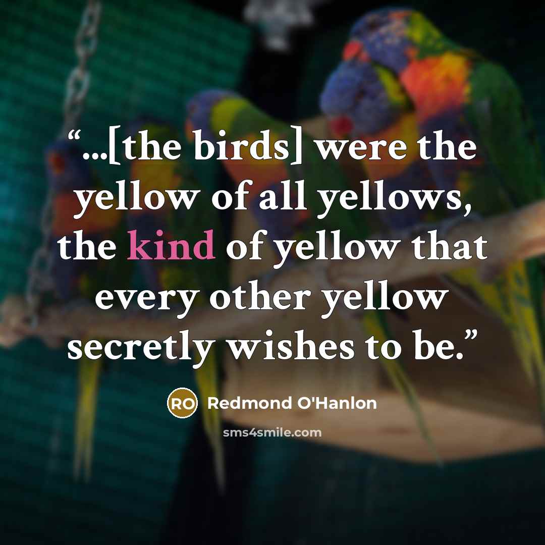 “...[the birds] were the yellow of all yellows, the kind of yellow that every other yellow secretly wishes to be.” quote by Redmond O'Hanlon
