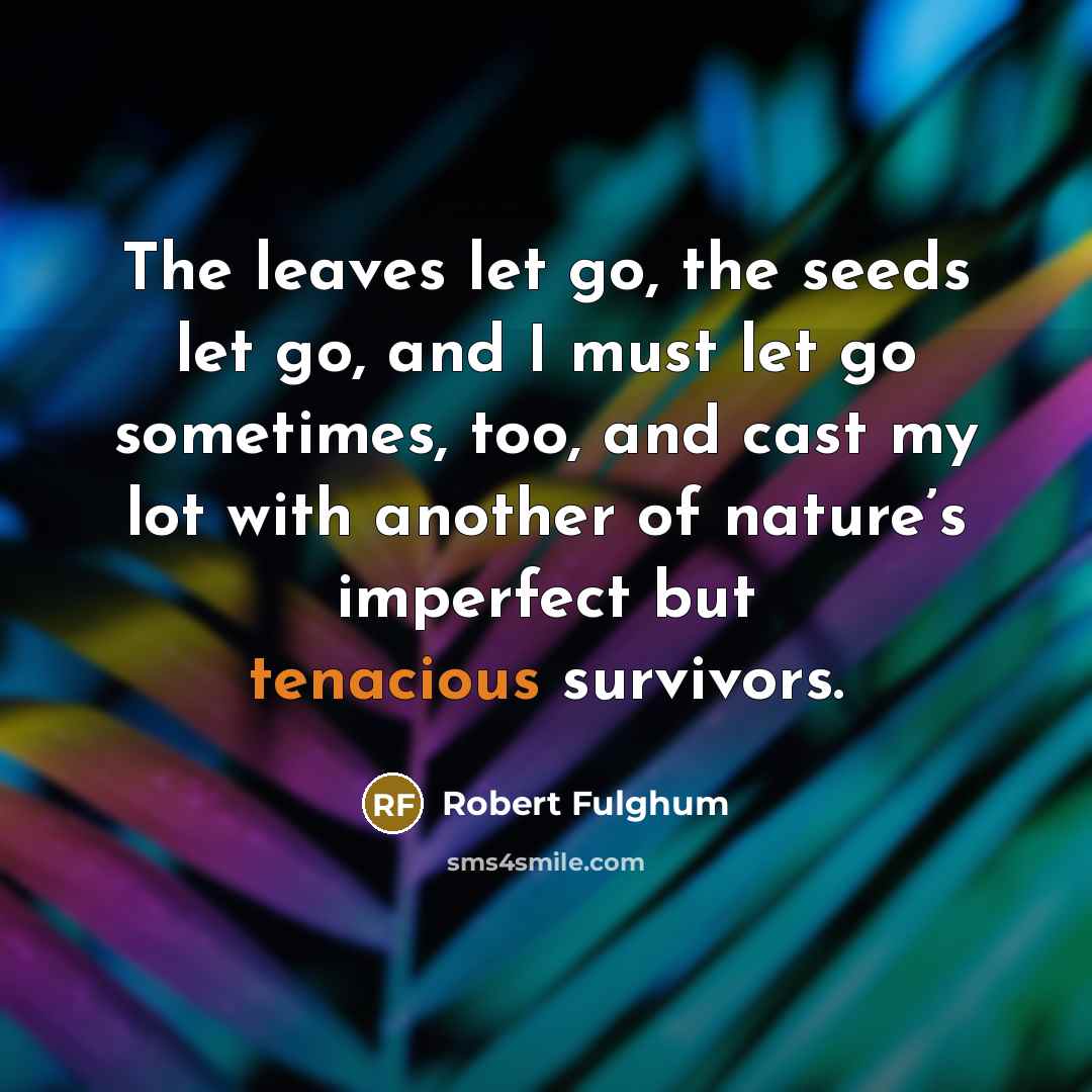 “The leaves let go, the seeds let go, and I…” quote by Robert Fulghum