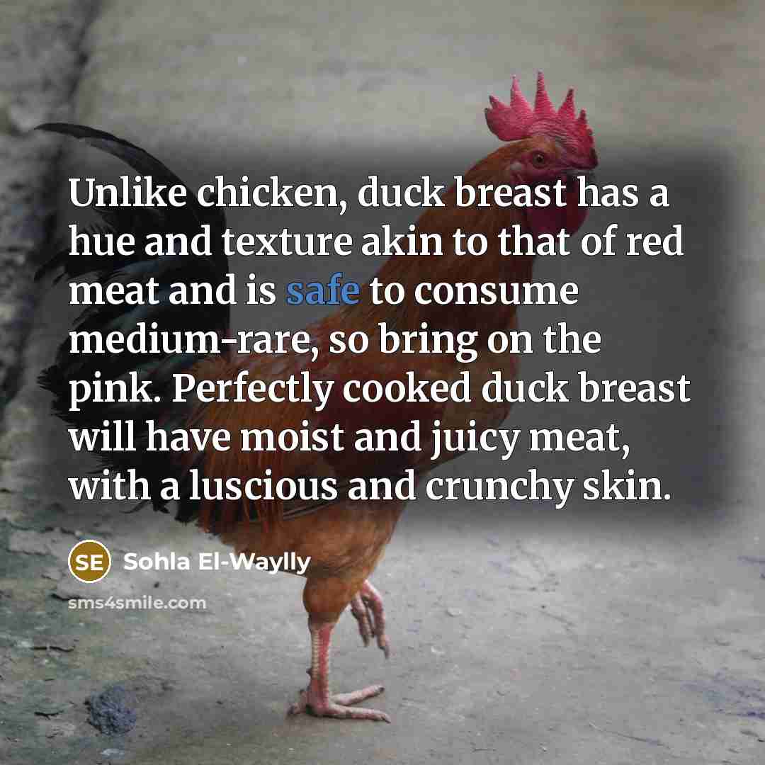 “Unlike chicken, duck breast has a hue and texture akin…” quote by Sohla El-Waylly