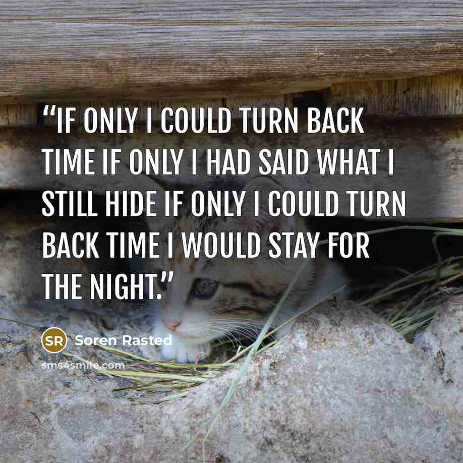 “If only I could turn back time If only I had said what I still hide If only I could turn back time I would stay for the night.” quote by Soren Rasted