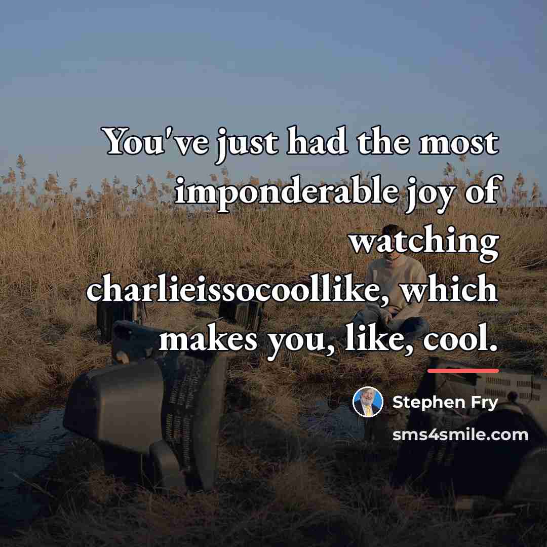 “You've just had the most imponderable joy of watching charlieissocoollike,…” quote by Stephen Fry