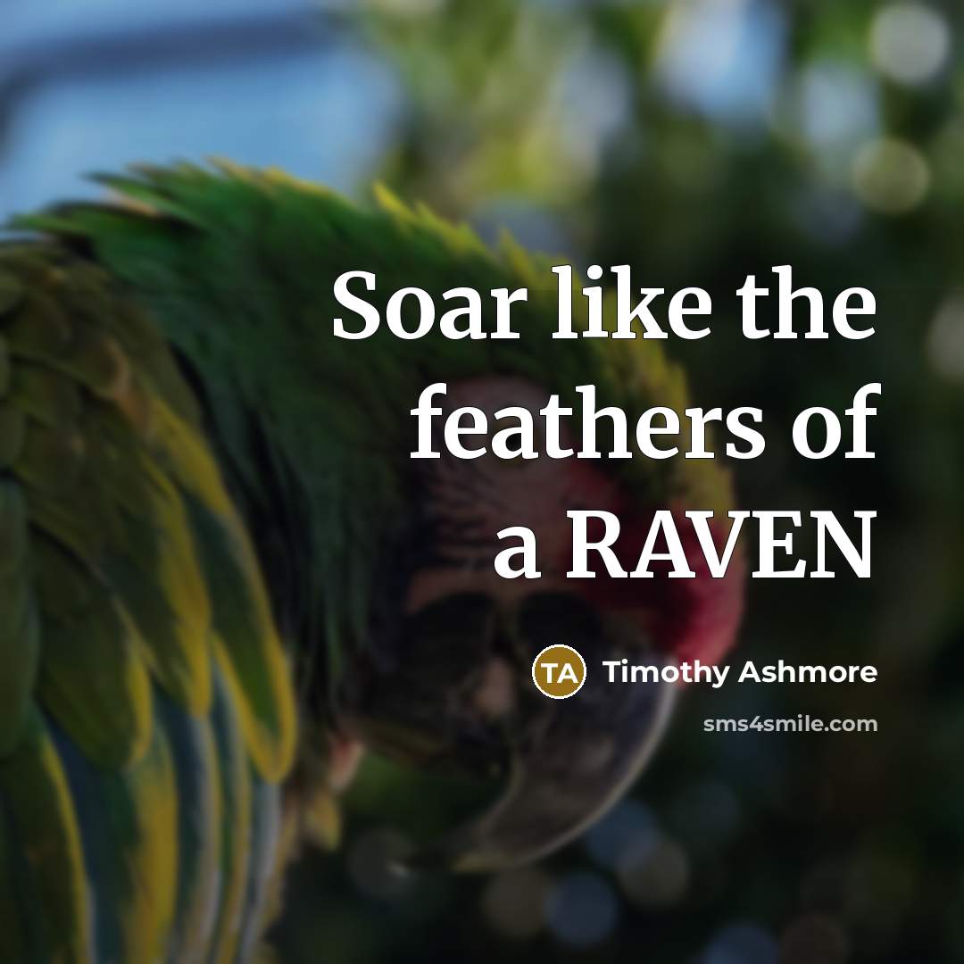 “Soar like the feathers of a RAVEN…” quote by Timothy Ashmore