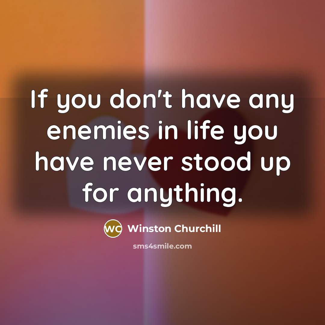 “If you don't have any enemies in life you have…” quote by Winston Churchill