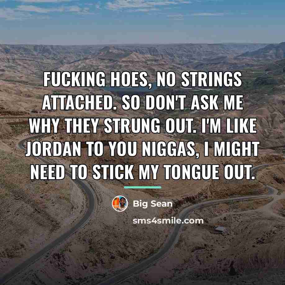 “Fucking hoes, no strings attached. So don't ask me why…” quote by Big Sean