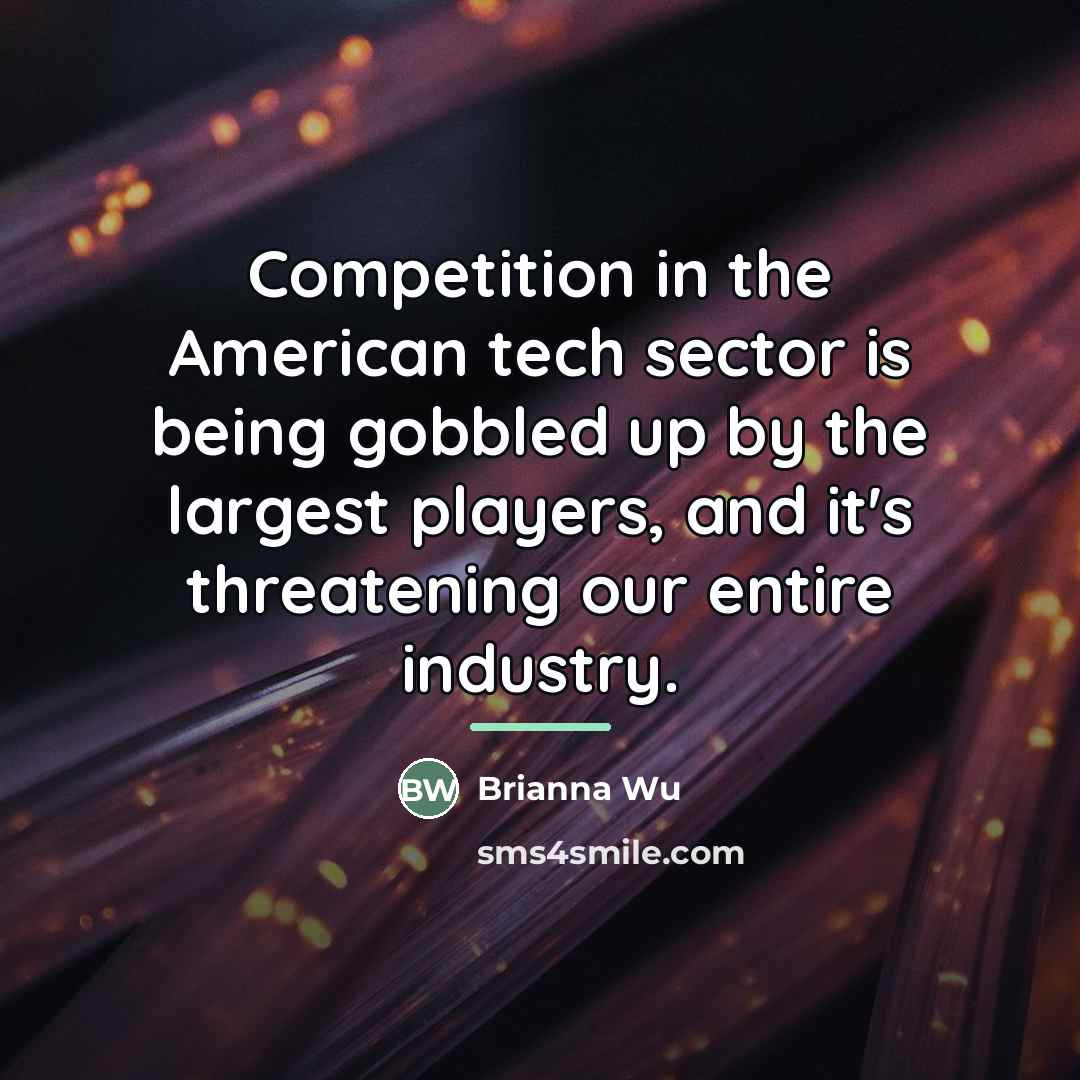 “Competition in the American tech sector is being gobbled up…” quote by Brianna Wu
