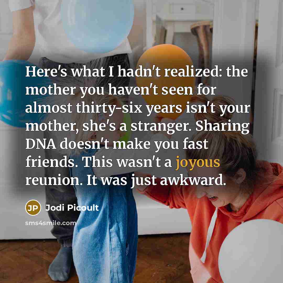 “Here's what I hadn't realized: the mother you haven't seen…” quote by Jodi Picoult