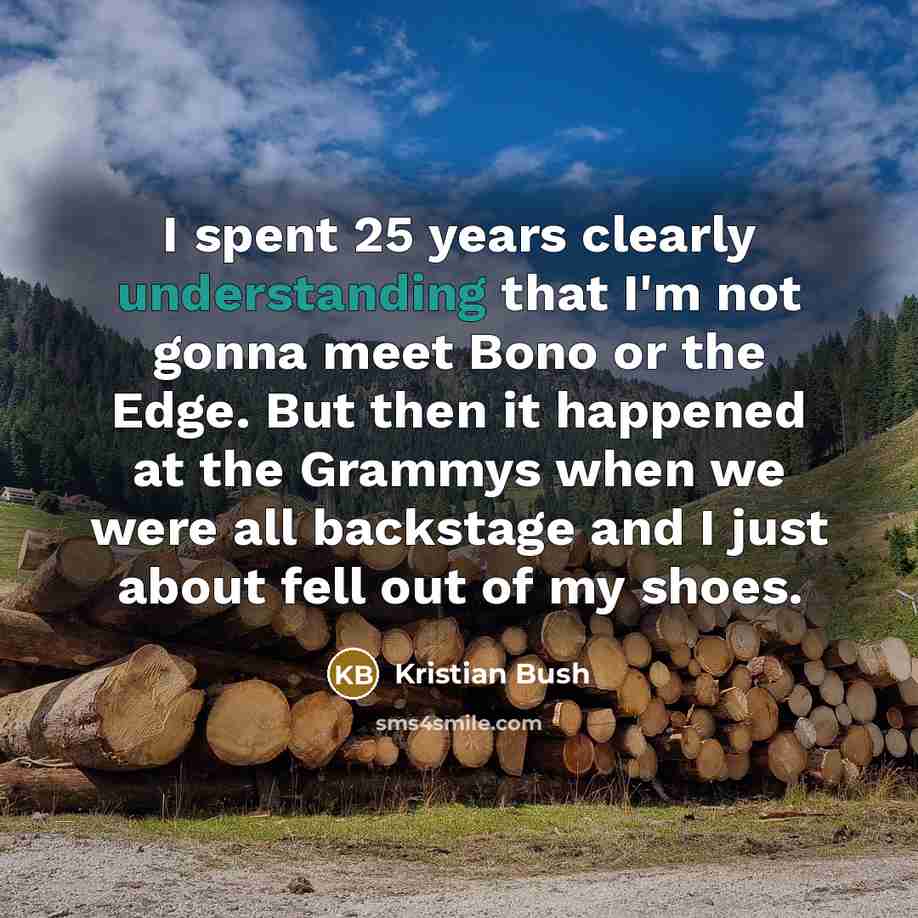 “I spent 25 years clearly understanding that I'm not gonna…” quote by Kristian Bush
