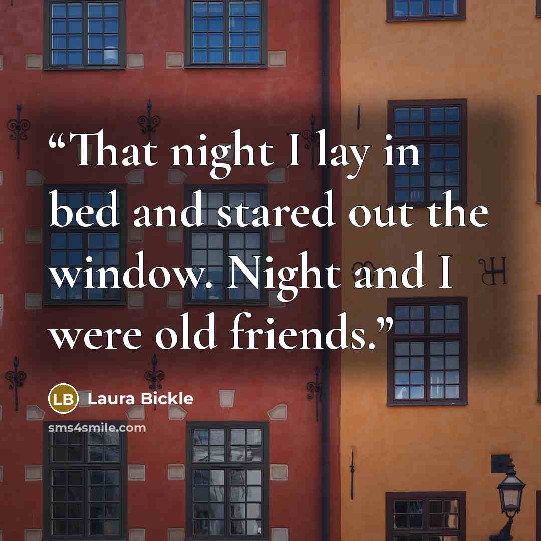 “That night I lay in bed and stared out the window. Night and I were old friends.” quote by Laura Bickle