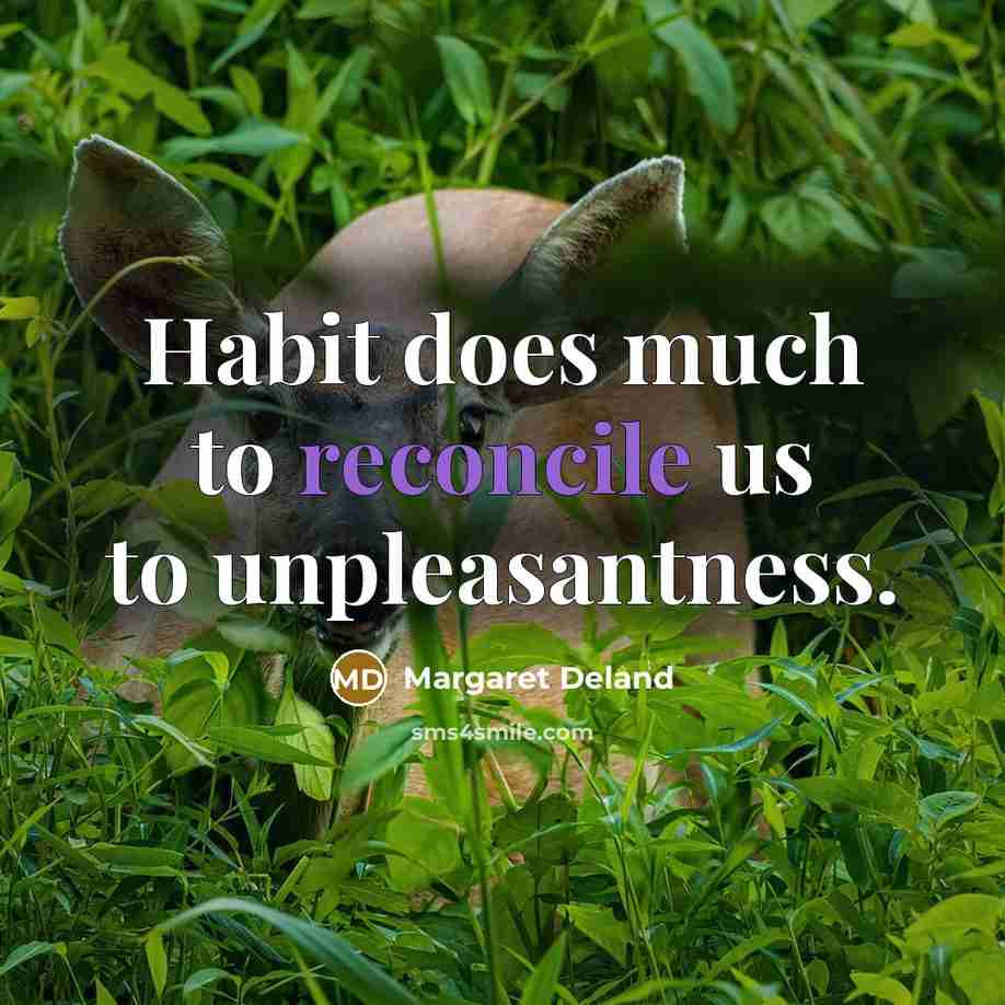 “Habit does much to reconcile us to unpleasantness.…” quote by Margaret Deland