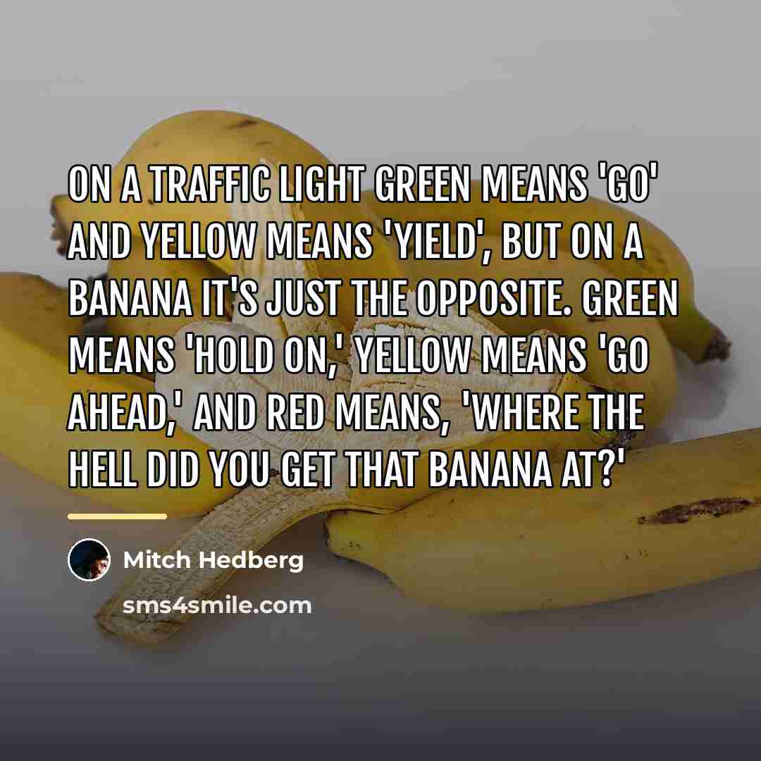 “On a traffic light green means 'go' and yellow means…” quote by Mitch Hedberg