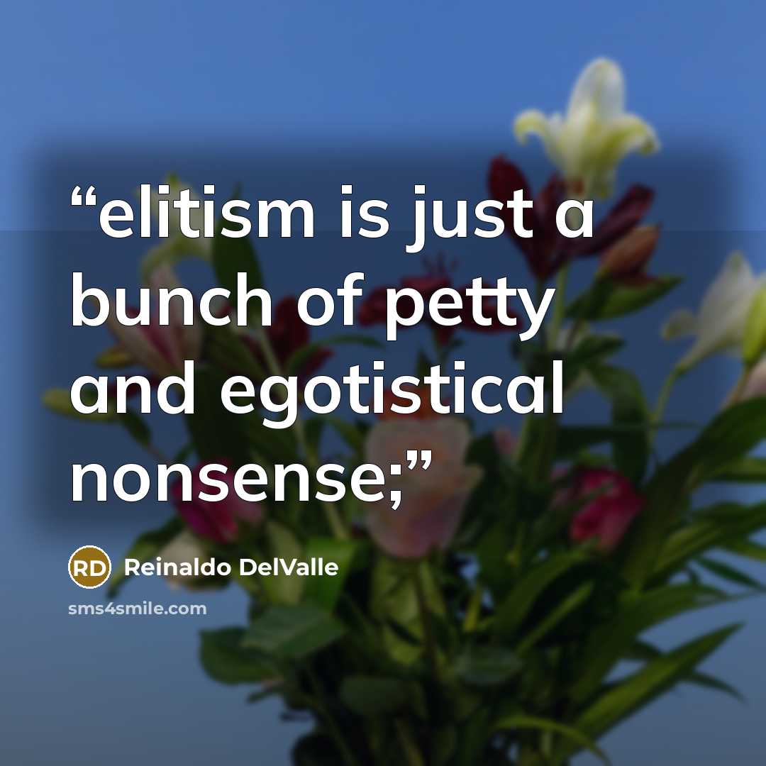 “elitism is just a bunch of petty and egotistical nonsense;” quote by Reinaldo DelValle