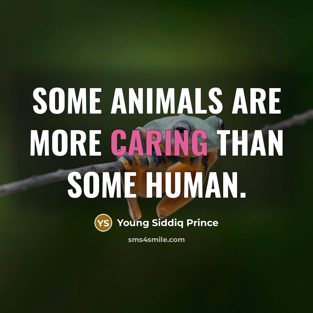 “Some animals are more caring than some human.…” quote by Young Siddiq Prince