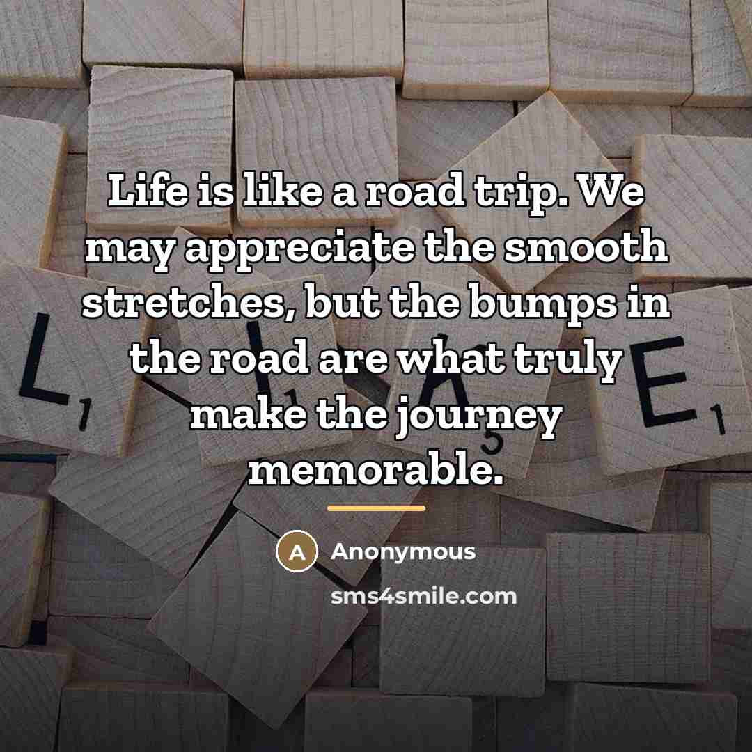 “Life is like a road trip. We may appreciate the…” quote by Anonymous