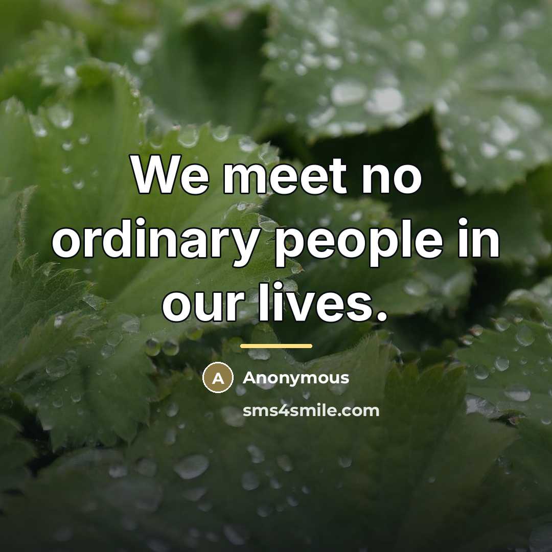 “We meet no ordinary people in our lives.…” quote by Anonymous