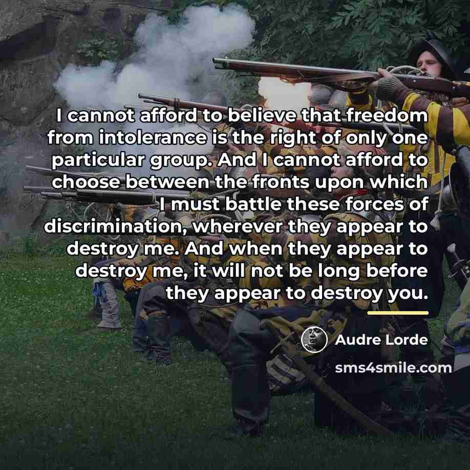 “I cannot afford to believe that freedom from intolerance is…” quote by Audre Lorde