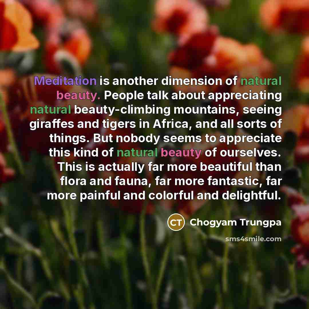 “Meditation is another dimension of natural beauty. People talk about…” quote by Chogyam Trungpa
