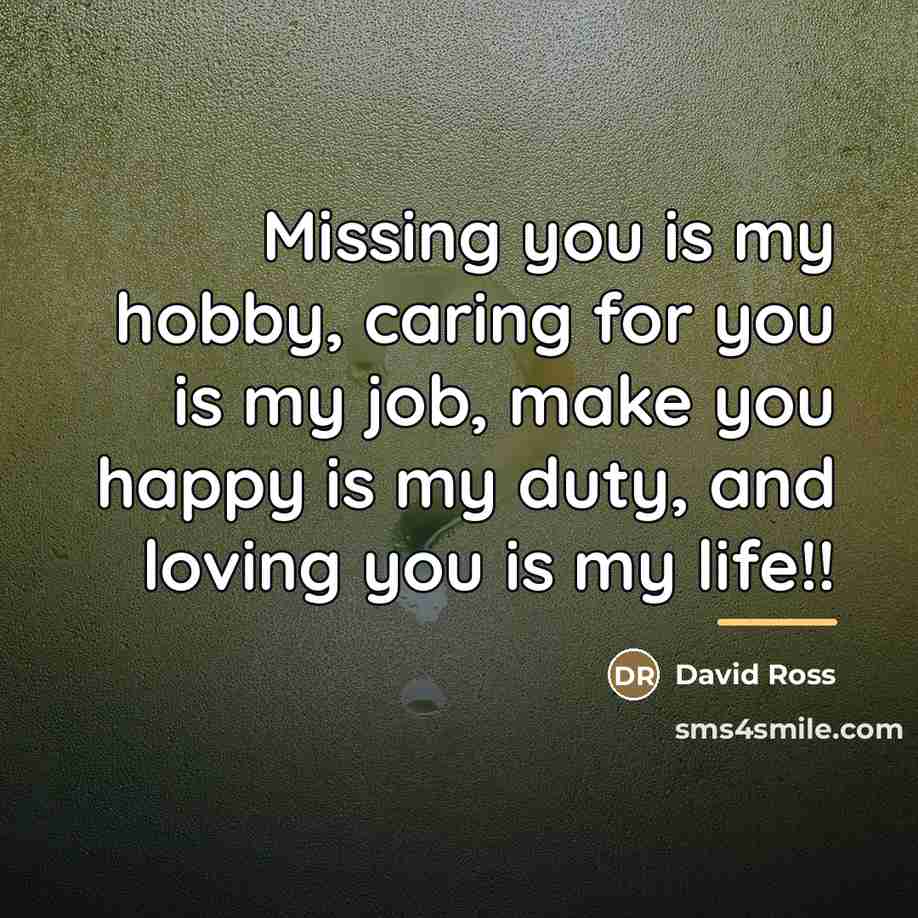 “Missing you is my hobby, caring for you is my…” quote by David Ross
