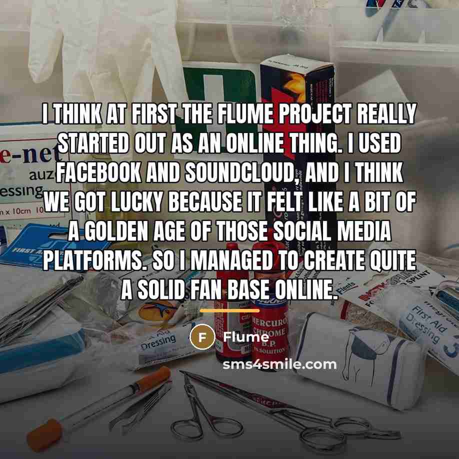 “I think at first the Flume project really started out…” quote by Flume