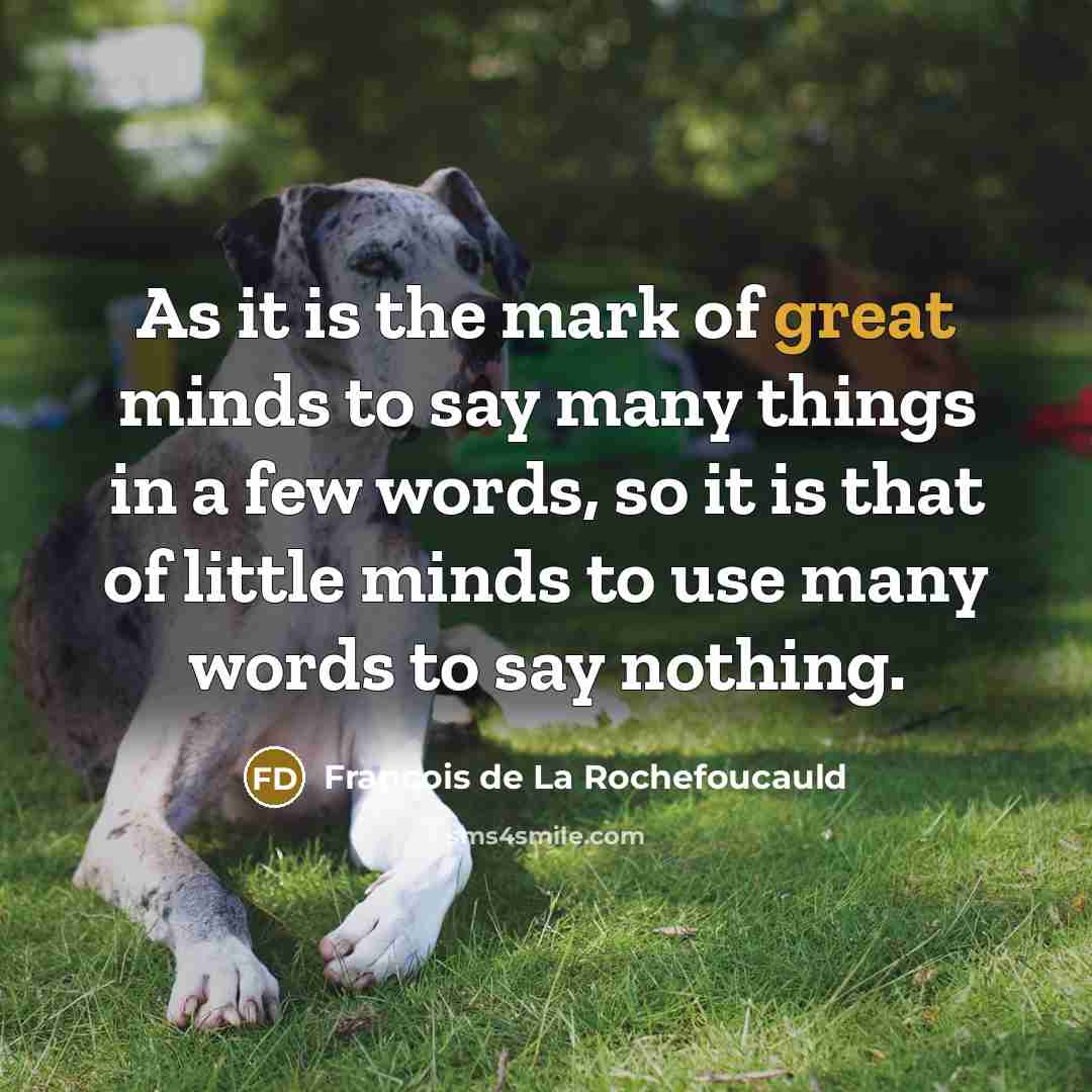 “As it is the mark of great minds to say…” quote by Francois de La Rochefoucauld
