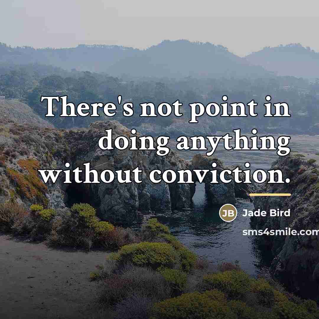 “There's not point in doing anything without conviction.…” quote by Jade Bird