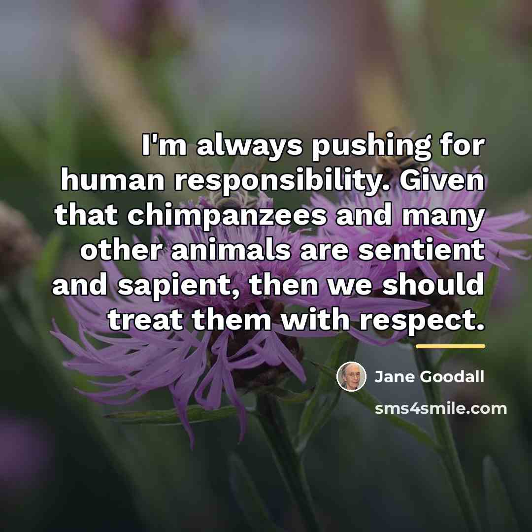 “I'm always pushing for human responsibility. Given that chimpanzees and…” quote by Jane Goodall