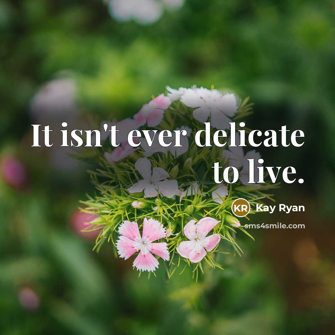 “It isn't ever delicate to live.…” quote by Kay Ryan